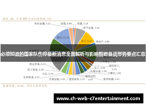 必须知道的国家队伤停最新消息全面解析与影响前瞻备战形势要点汇总