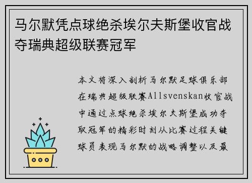马尔默凭点球绝杀埃尔夫斯堡收官战夺瑞典超级联赛冠军